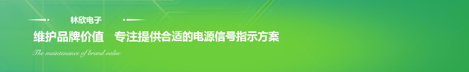 林欣電子